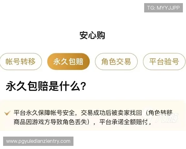 全面解析PG网站推荐策略,提升你的游戏体验和账号安全保障的实用技巧